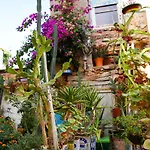 Poco Loco Bed & Breakfast