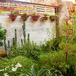 Poco Loco Bed & Breakfast 4*