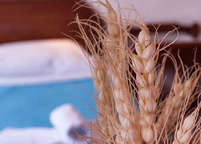 Poco Loco Ханья (Крит)