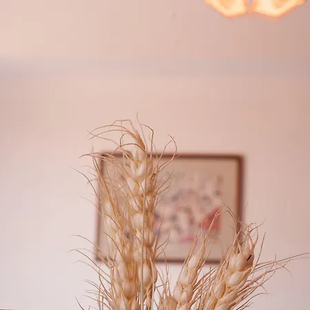 לינה וארוחת בוקר Poco Loco