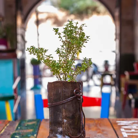 לינה וארוחת בוקר Poco Loco