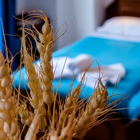 לינה וארוחת בוקר Poco Loco 4*