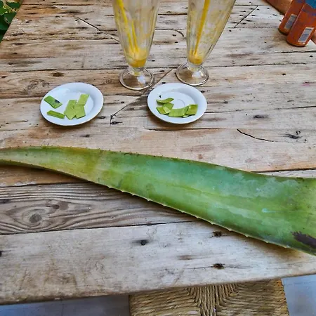 Poco Loco לינה וארוחת בוקר 4*