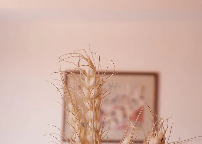 Oda ve Kahvaltı Poco Loco