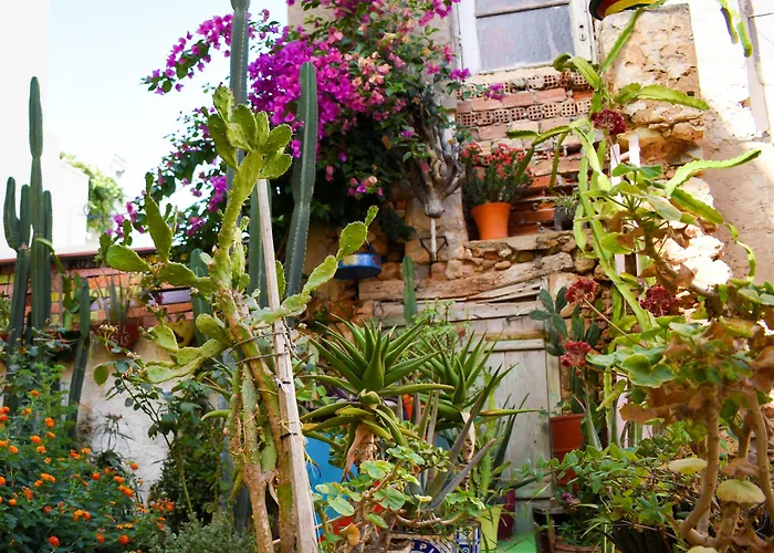 Poco Loco Bed & Breakfast