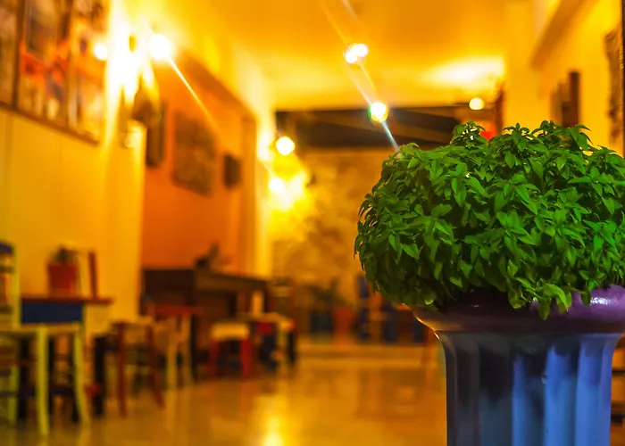 Poco Loco Bed & Breakfast 4*