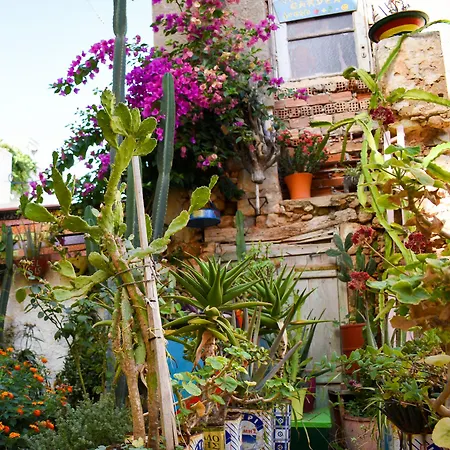 Poco Loco Bed and breakfast