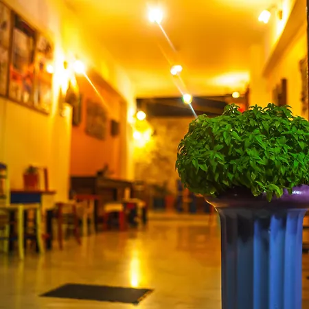 Poco Loco Bed and breakfast 4*