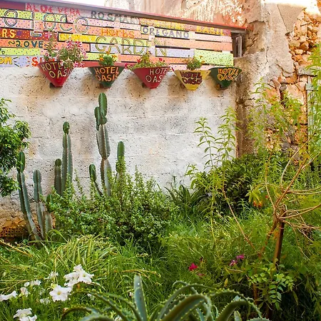 Poco Loco Bed and breakfast 4*