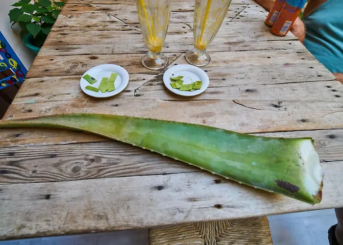 Poco Loco לינה וארוחת בוקר 4*